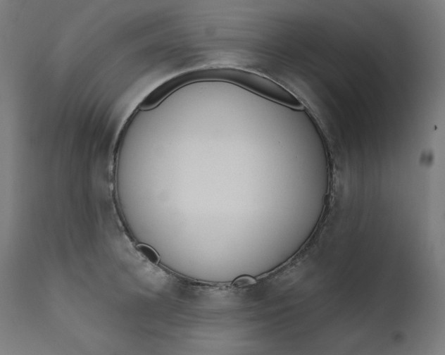 X0000111610948200907311136