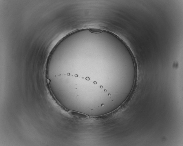 X0000111610949200907311136