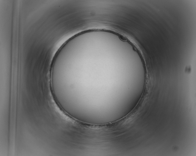 X0000111610951200907311136