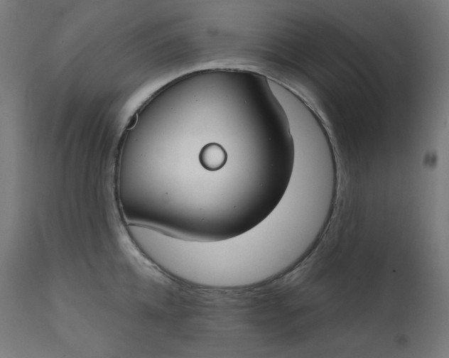 X0000111610952200907311136