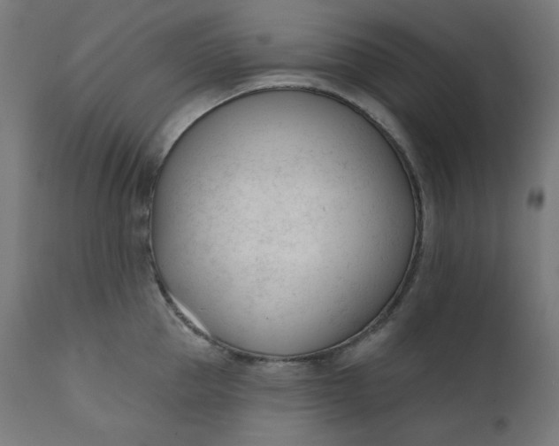 X0000111610953200907311136