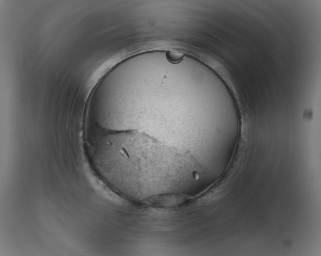 X0000111610954200907311136