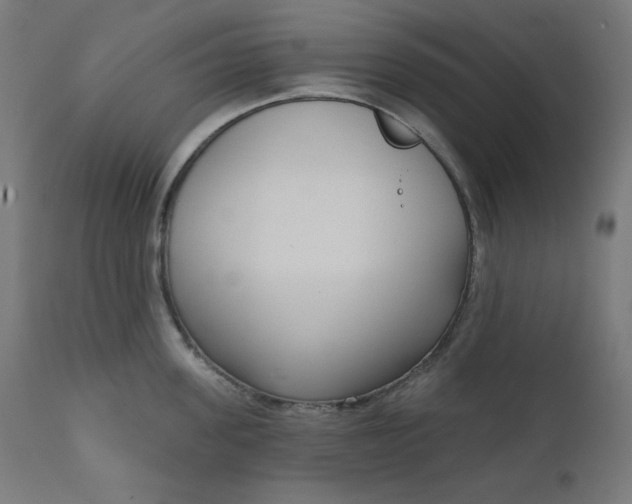 X0000111610955200907311136