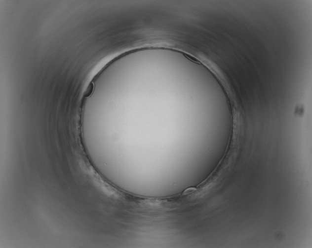 X0000111610956200907311136