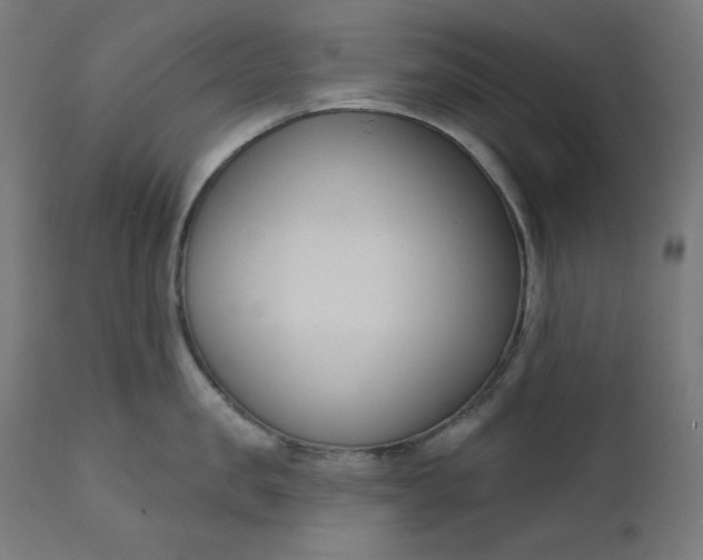 X0000111610957200907311136