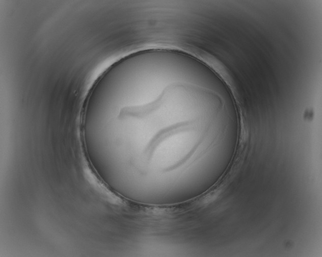 X0000111610958200907311136