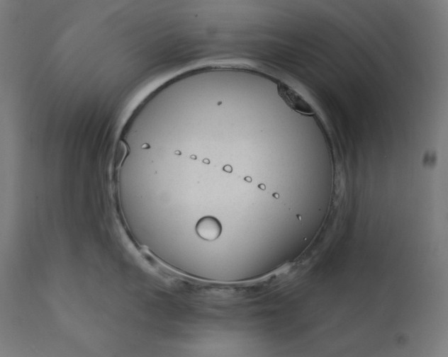 X0000111610959200907311136