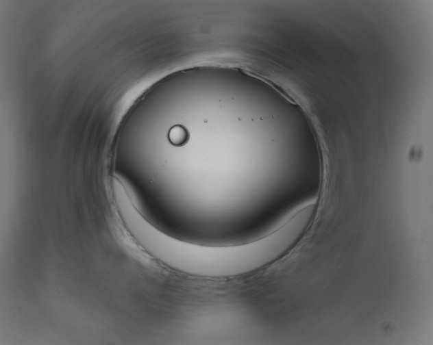 X0000111610960200907311136