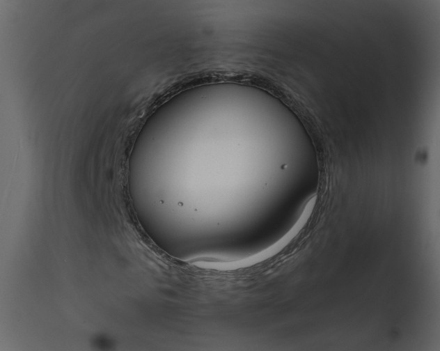 X0000111610961200907311135