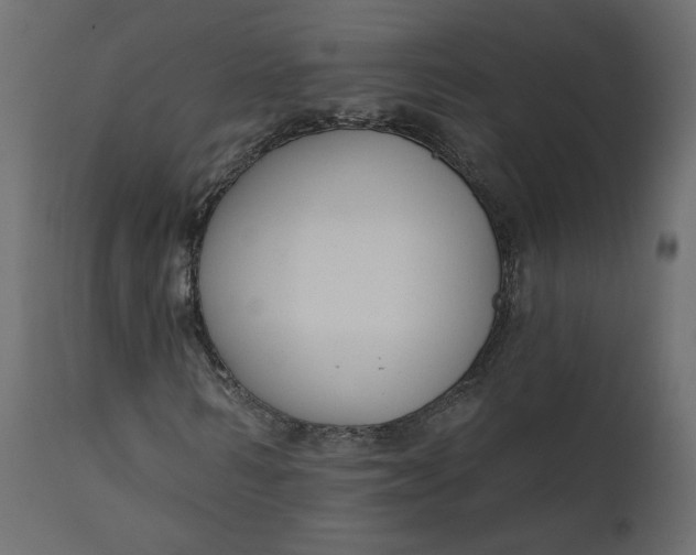 X0000111610962200907311135