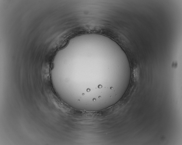 X0000111610963200907311135