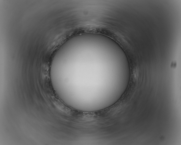 X0000111610964200907311135