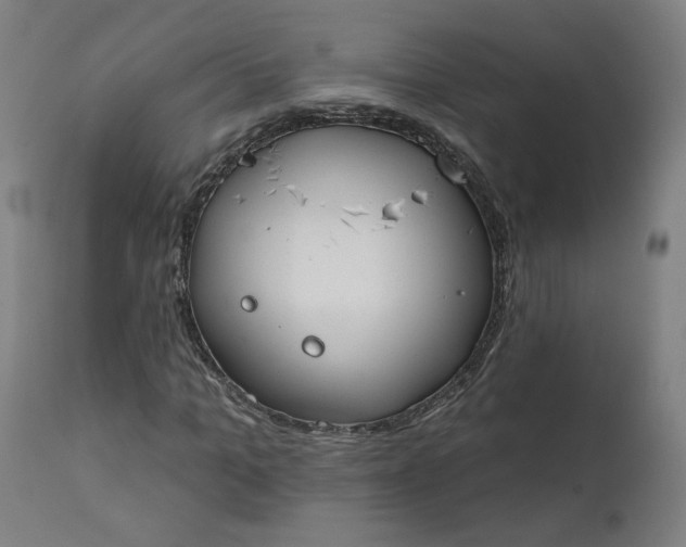 X0000111610965200907311135