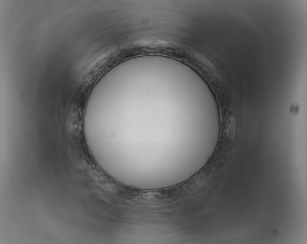 X0000111610966200907311135