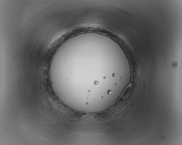 X0000111610967200907311135