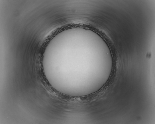 X0000111610968200907311135