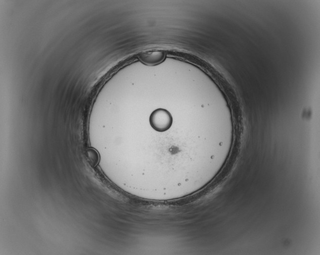 X0000111610969200907311135