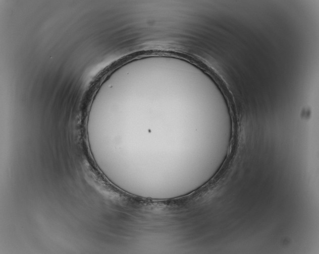 X0000111610971200907311135