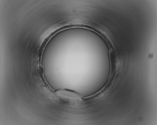 X0000111610973200907311135