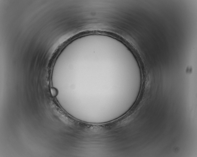 X0000111610974200907311135