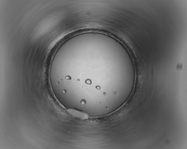 X0000111610975200907311135