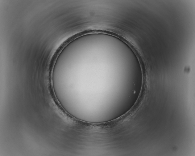 X0000111610976200907311135