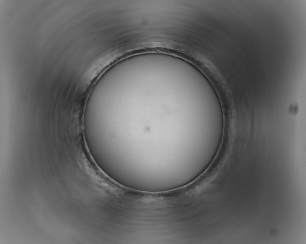 X0000111610977200907311135