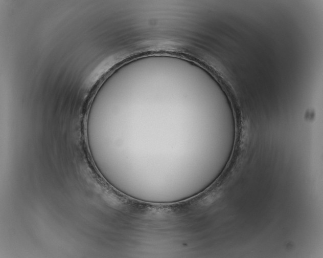 X0000111610978200907311135