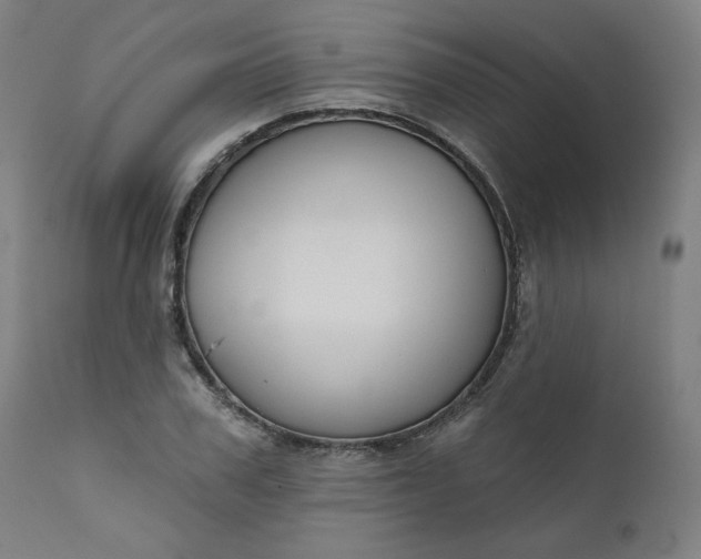 X0000111610979200907311135