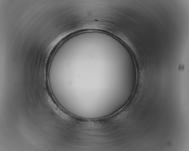 X0000111610980200907311135