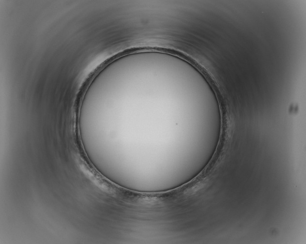 X0000111610982200907311135