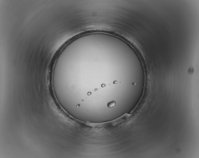 X0000111610983200907311135