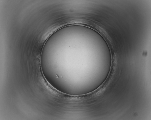 X0000111610985200907311135