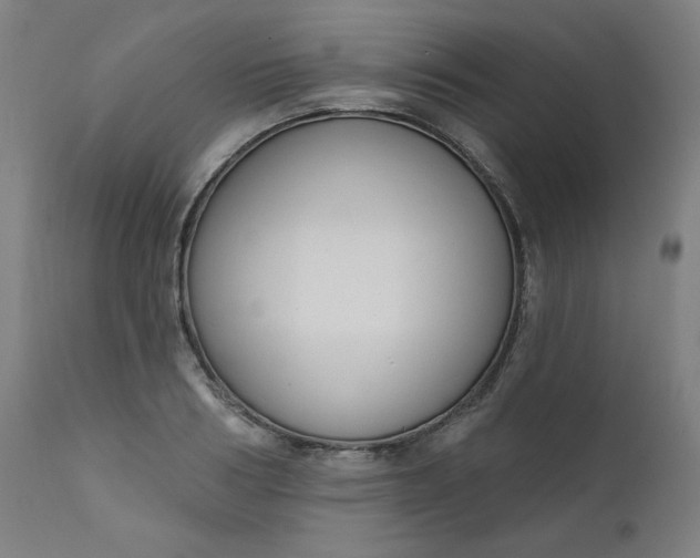 X0000111610986200907311135