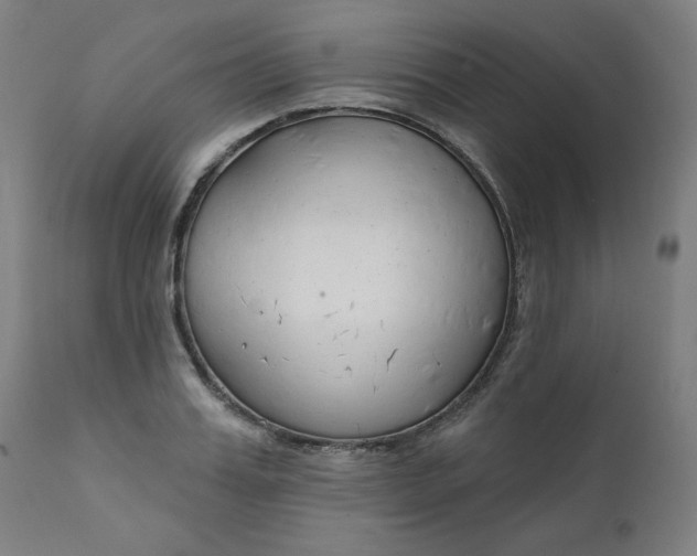 X0000111610987200907311135