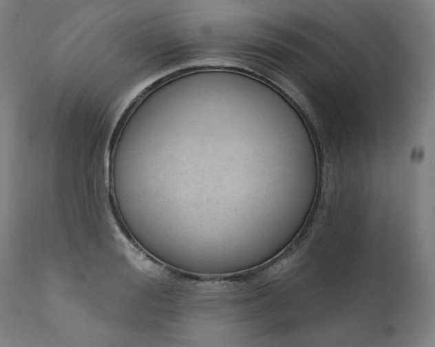 X0000111610988200907311135