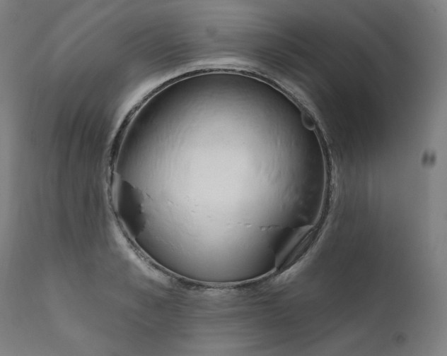 X0000111610989200907311135