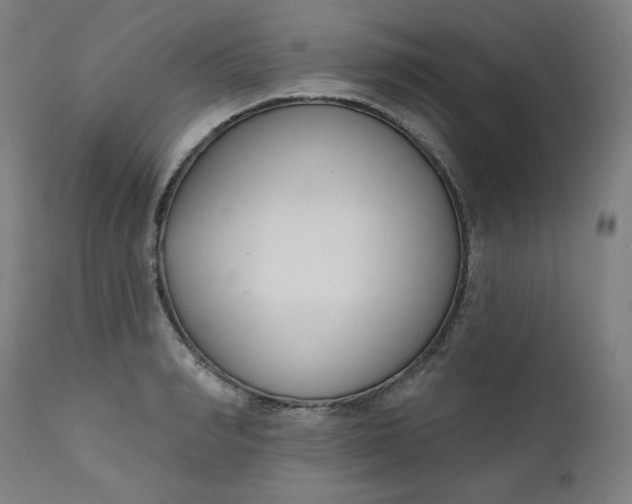 X0000111610990200907311135