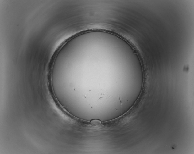 X0000111610991200907311135