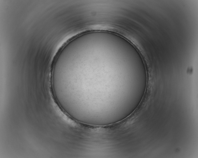 X0000111610992200907311135