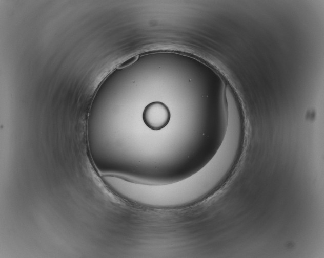 X0000111610993200907311135