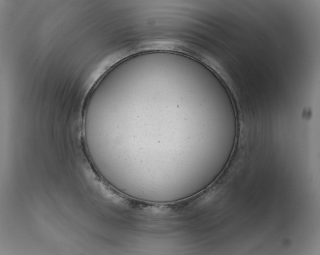 X0000111610994200907311135