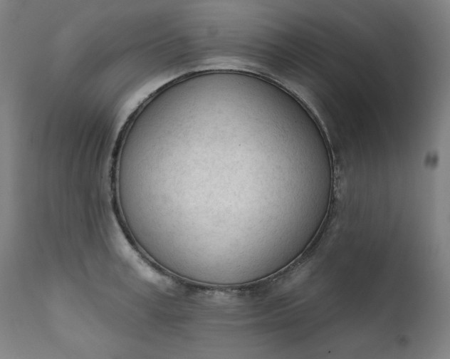 X0000111610995200907311135