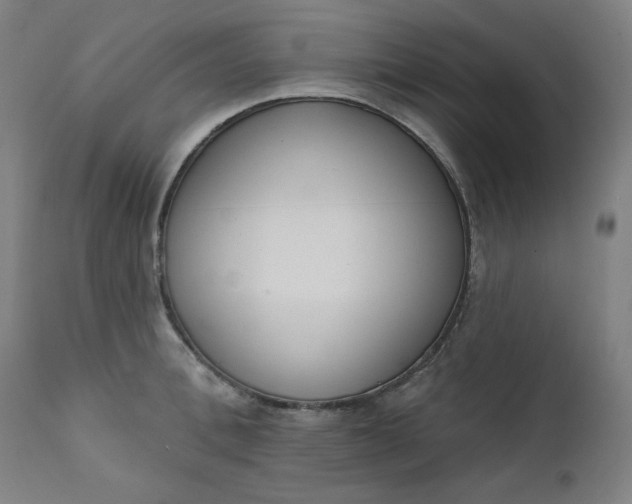 X0000111610996200907311135