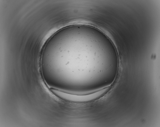 X0000111610997200907311135