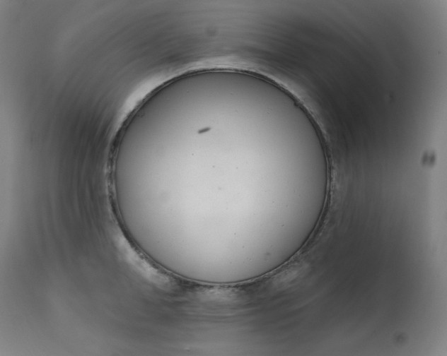 X0000111610998200907311134