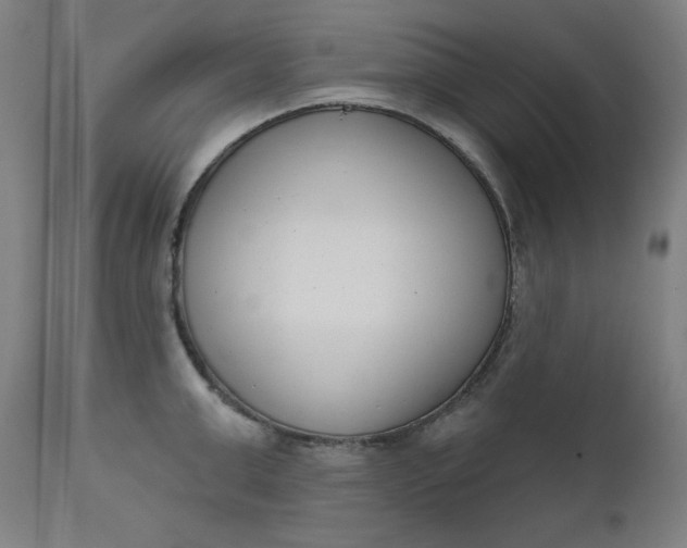 X0000111610999200907311134