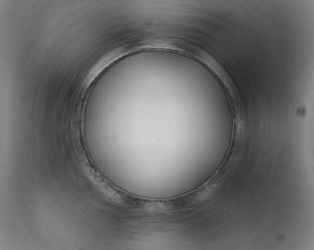 X0000111611002200907311134