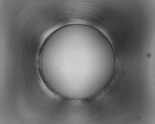 X0000111611003200907311134