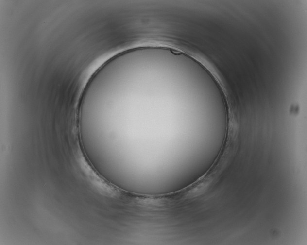 X0000111611004200907311134
